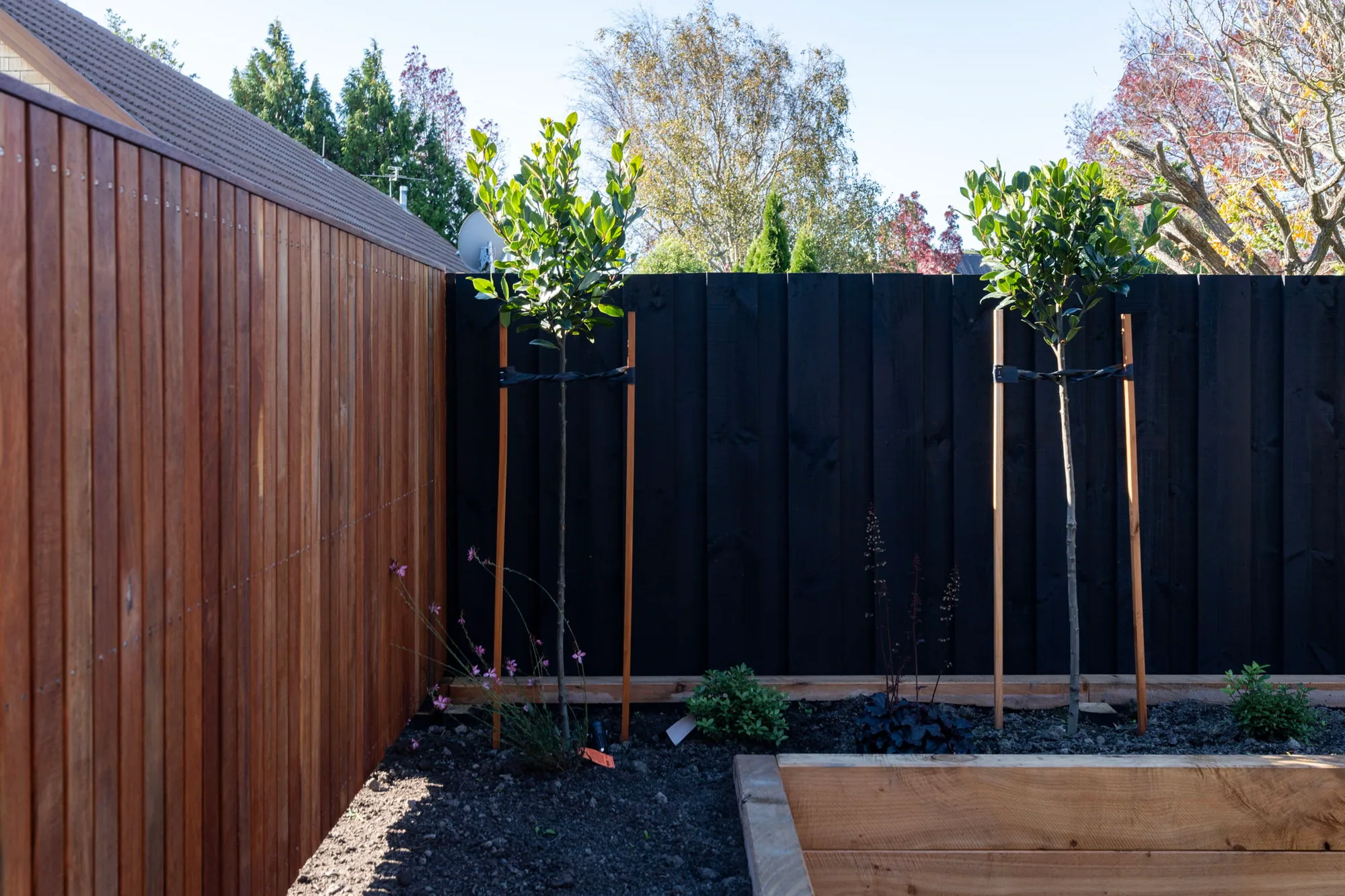 Timber fence with plantings - Canterbury residential build